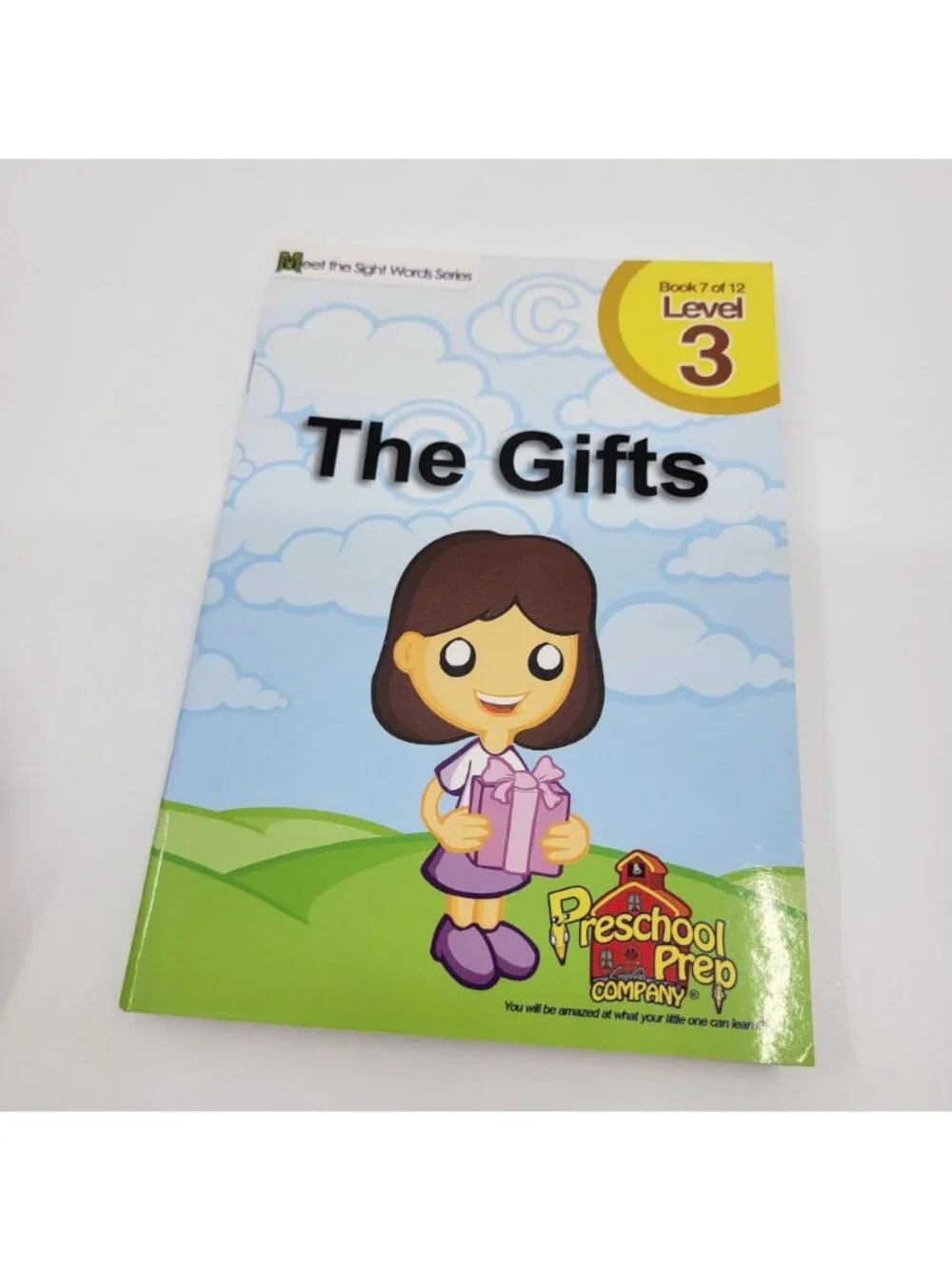 MEET THE SIGHT WORDS Lot of 13 Level 3 Reader Books - BK018